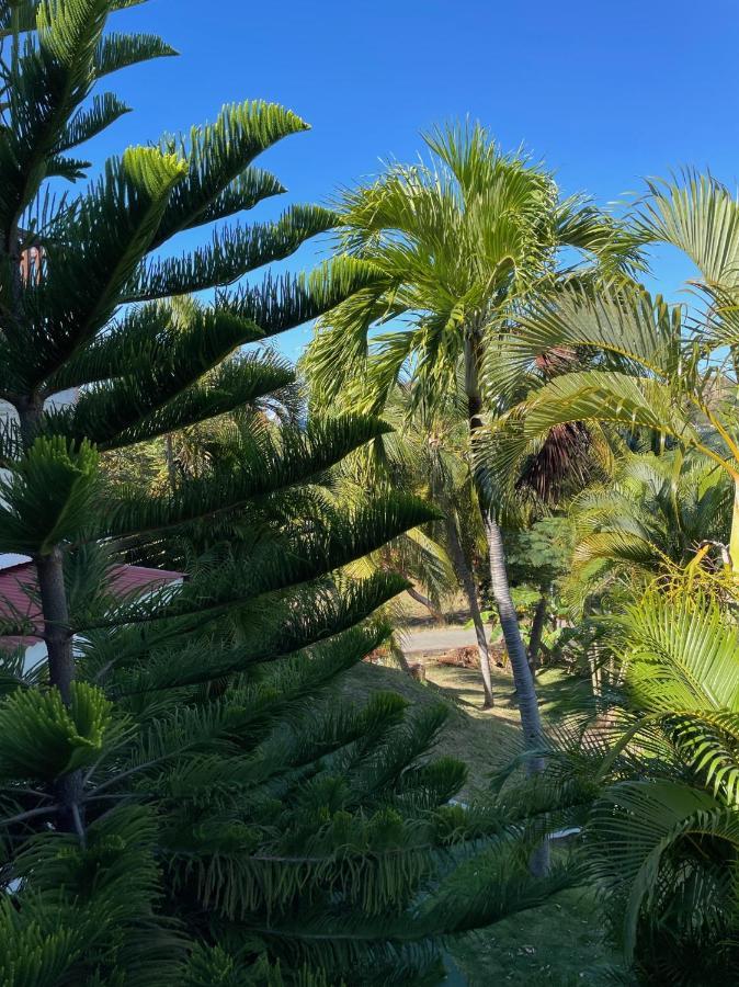 Jardin Sur Mer Terre-De-Haut Esterno foto