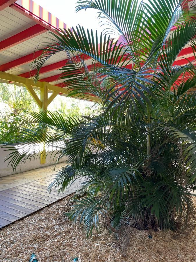 Jardin Sur Mer Terre-De-Haut Esterno foto