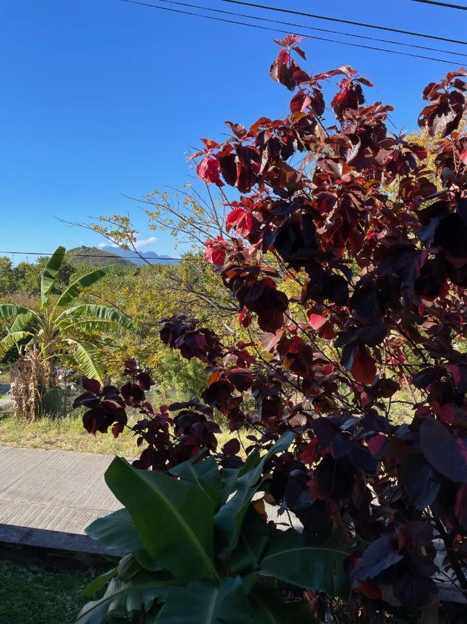 Jardin Sur Mer Terre-De-Haut Esterno foto