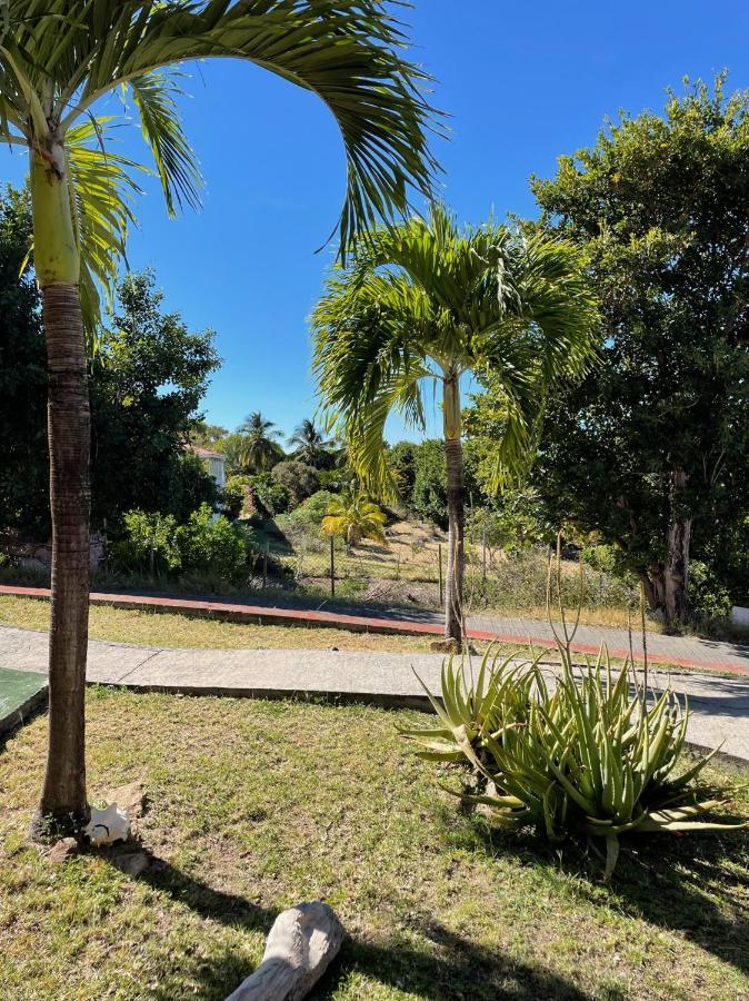 Jardin Sur Mer Terre-De-Haut Esterno foto