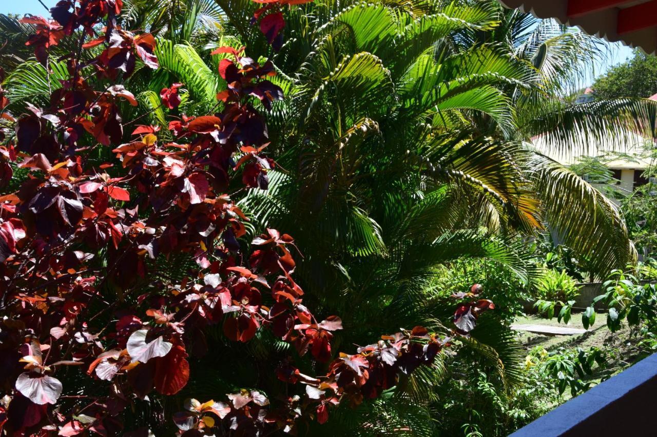 Jardin Sur Mer Terre-De-Haut Esterno foto