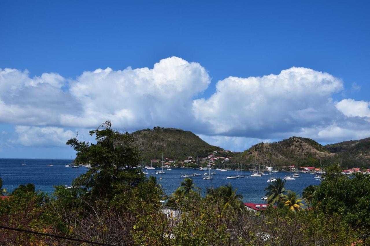 Jardin Sur Mer Terre-De-Haut Esterno foto