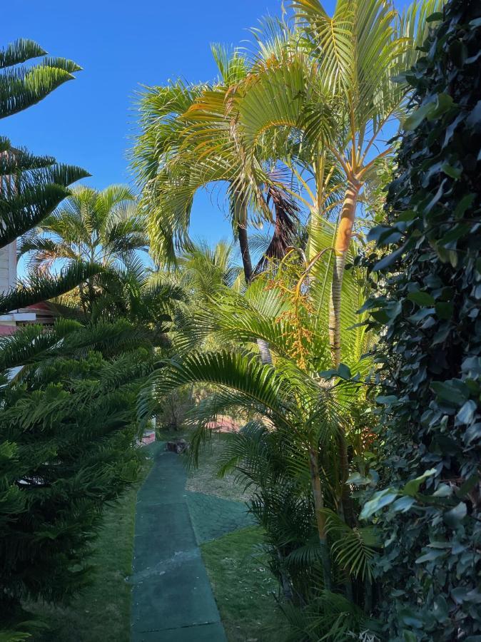 Jardin Sur Mer Terre-De-Haut Esterno foto