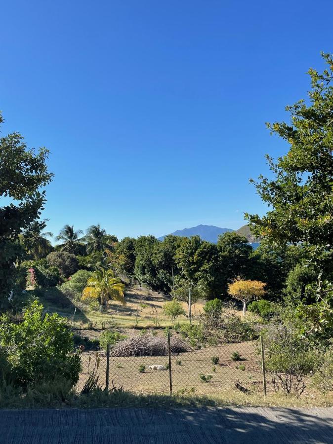 Jardin Sur Mer Terre-De-Haut Esterno foto