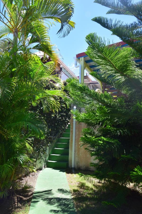 Jardin Sur Mer Terre-De-Haut Esterno foto